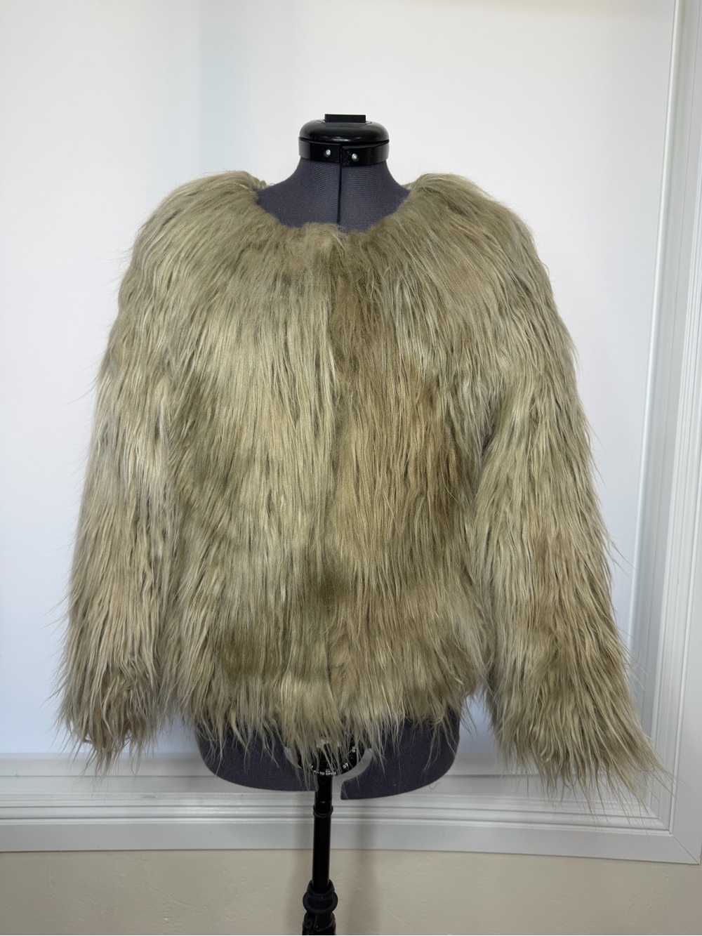 Zara Faux Fur Teddy Jacket
